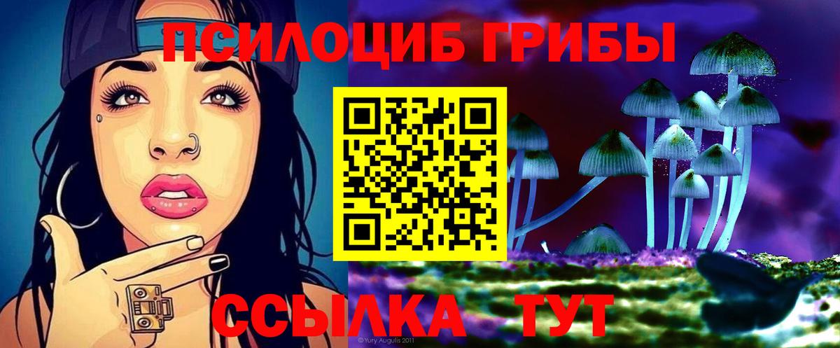 Псилоцибиновые грибы Cubensis Белореченск